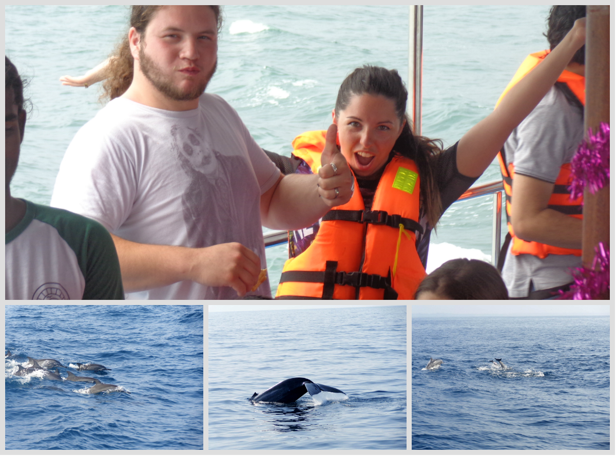 whale watching crew
